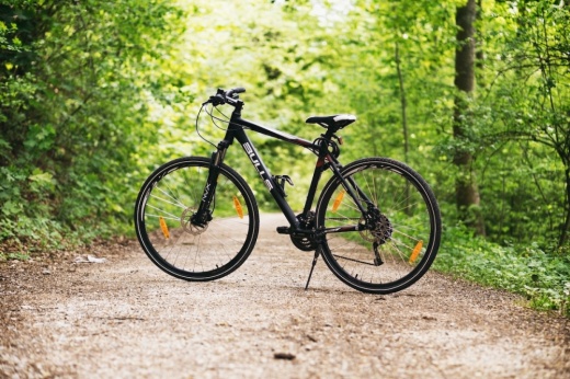 A bike sitting in the middle of a tree-lined trail.
