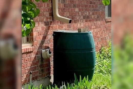 The rain barrel credits program allows single-family residential water customers to earn up to $100 in credit toward their utility account  (Courtesy City of Cedar Park).
