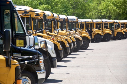 Yellow school buses in a line.