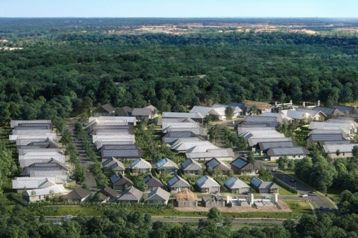 Aerial view of homes in a forest.