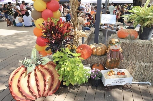 Decorations such as balloons and pumpkin to represent fall with a small festival in the background