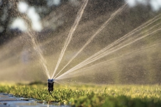 Picture of a water sprinkler