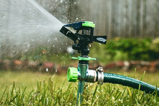Sprinkler spraying water onto lawn and grass