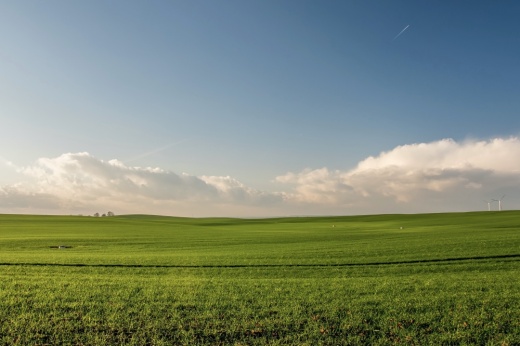 Pearland and Friendswood are nearly built out, and the cities must carefully plan how to develop the remaining land. (Courtesy Pexels)