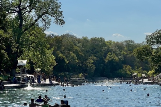 People swim in Barton Springs Pool.