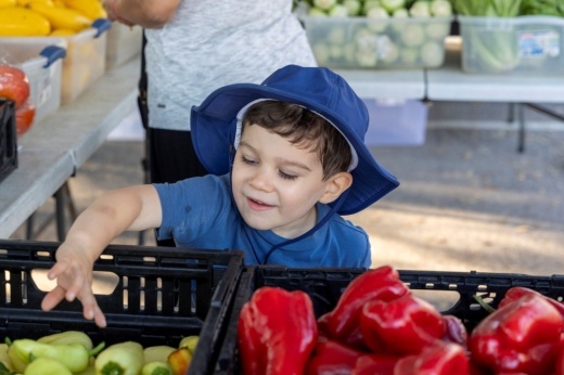 Child in blue grabbing a green pepper with a smile. (Courtesy City of Sugar Land)