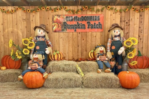A shot of Old MacDonald's Farm's photo area
