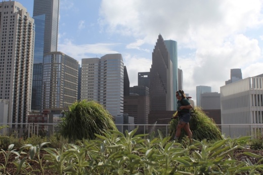 Blackwood Skyfarm at POST HTX.