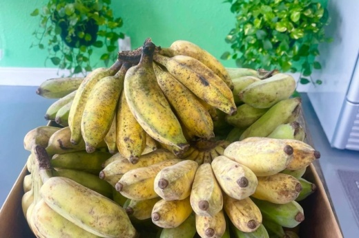 utungan bananas