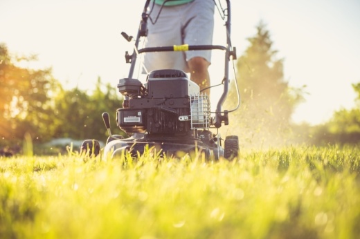 This is a photo of a lawnmower.
