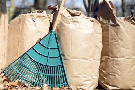 Bagged leaves must be placed on the curb by 8 a.m. on collection dates. (Courtesy Adobe Stock)