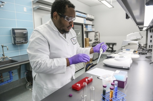 person using lab equipment