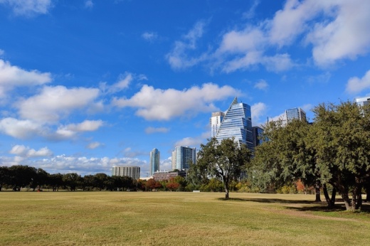 a park with an open field, trees in the distance and several skyscrapers visible in the background
