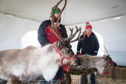 Picture of some people with reindeer