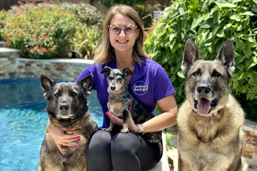 A woman in a purple shirt sits with three dogs, one of which is on her lap.