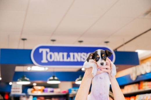 a puppy being held in the air at a Tomlinson's store