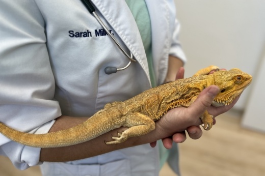 Agave Veterinary Care and Exotic Animal Hospital is one of the businesses featured in 2023. (Zacharia Washington/Community Impact)
