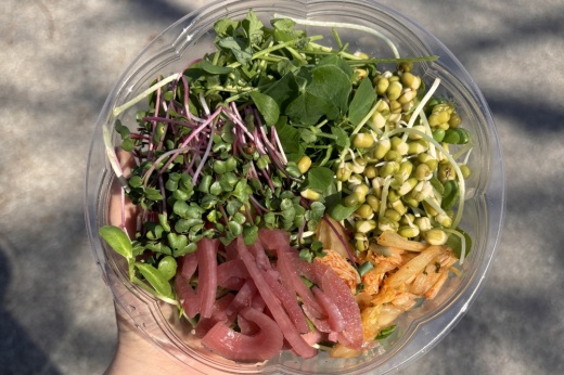 A healthy salad is shown, filled with various sprouts and shoots grown at Sprouts Alive.
