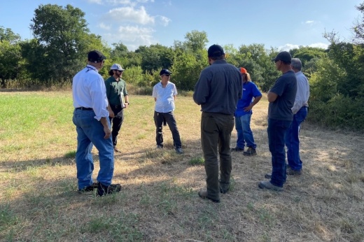 Seven adults stand in a circle in a park