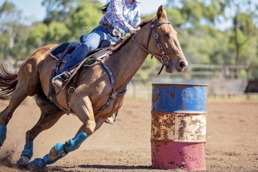 Close up of competitor on horseback making a figure eight turn in a barrel race at outback country rodeo