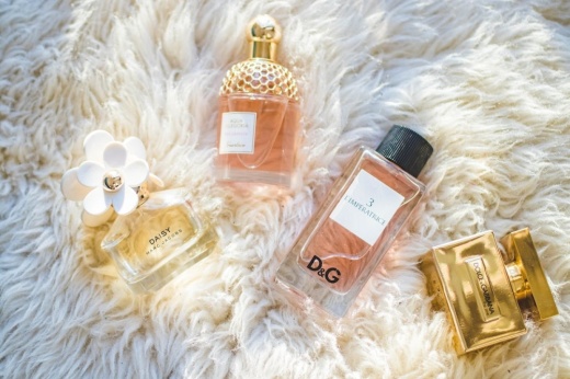 stock photo of different perfumes
