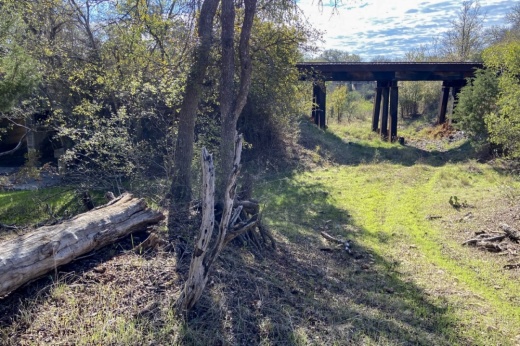 Photo of parkland that features railway bridge