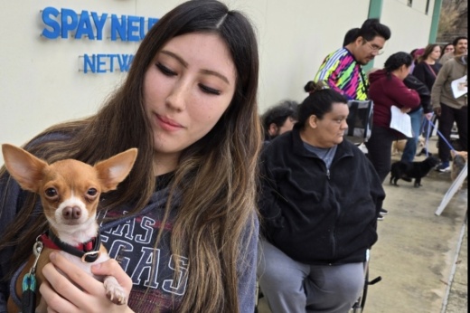 San Antonio Animal Care Services spay neuter network courtesy photo