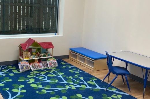 Children's therapy room with a rug and a dollhouse
