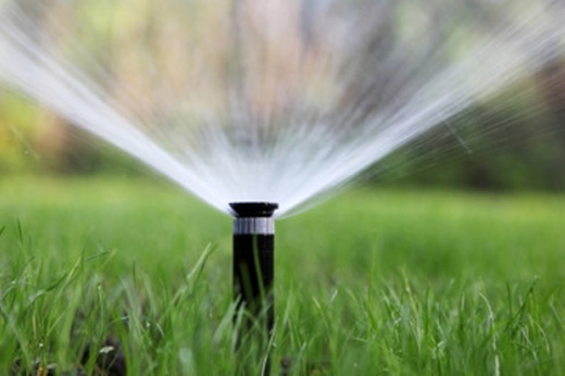 sprinkler
