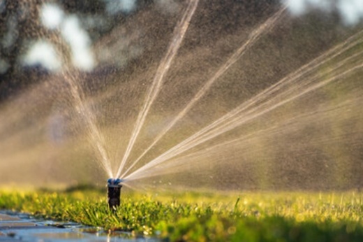 Grass being watered with irrigation system