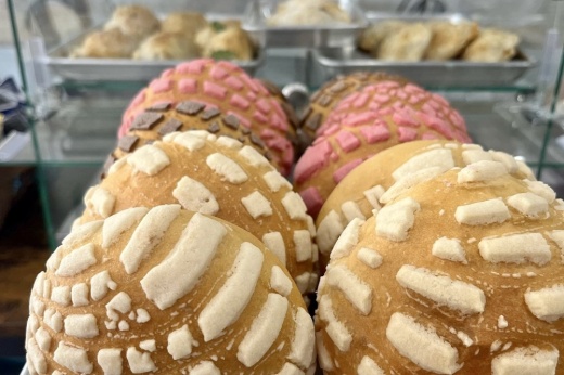 conchas