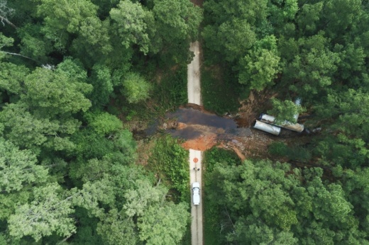 aerial view of forest
