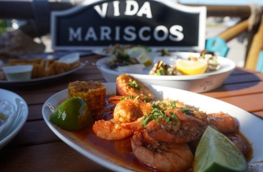 Vida Mariscos, a seafood and sports bar, will open in Webster in July, restaurant owner Sergio Cabrera said. (Courtesy Vida Mariscos)