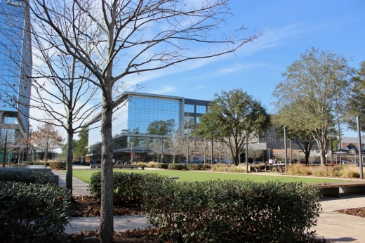 City place building with a tree