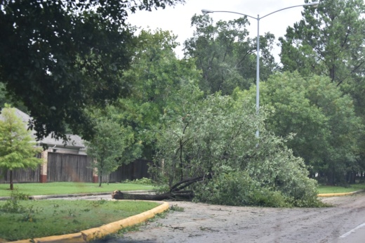 After Hurricane Beryl left downed trees and fallen debris scattered across Greater Houston July 8, the cities of Katy and Fulshear and Fort Bend County will provide upcoming debris pickup. (Vanessa Holt/Community Impact)