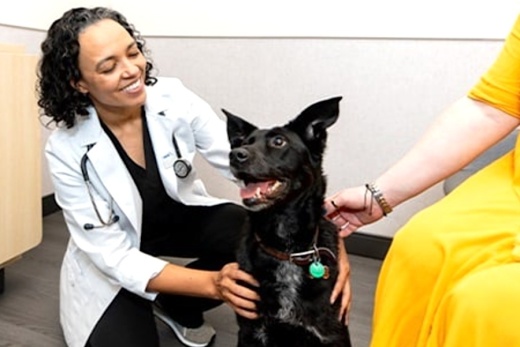 VCA Animal Hospitals in June opened a new urgent care clinic in far west San Antonio at 9710 State Hwy. 151, Ste. 105. (Courtesy VCA Animal Hospitals)