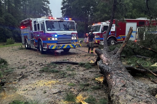 Firefighters move a downed tree
