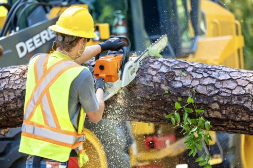 In Harris and Montgomery County over 200 trees were knocked down due to the strong winds of Hurricane Beryl. CenterPoint Energy and Entergy linemen continue to cut down trees that fell on homes and power lines. (Courtesy City of Conroe)