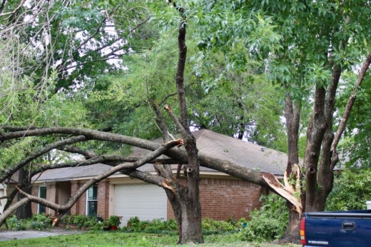 A Harris County home devastated by trees.