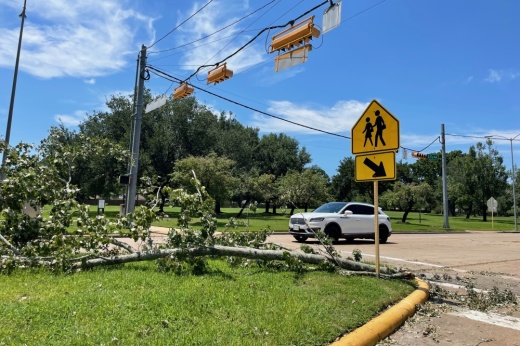Branch down in the street with car driving by.