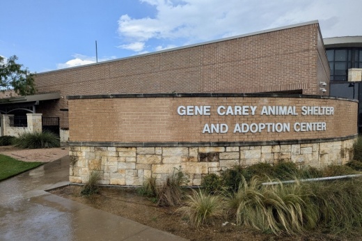 The Gene Carey Animal Shelter and Adoption Center in Lewisville