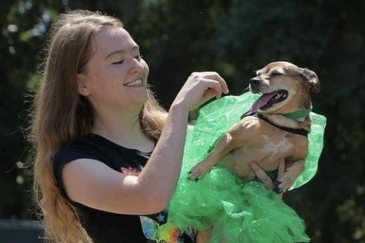 The In a Pickle Festival features a pet parade with pickle-themed outfits. (Courtesy Ray Jenkins Photography/In a Pickle Festival)
