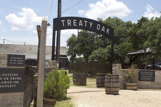 Entrance to Treaty Oak