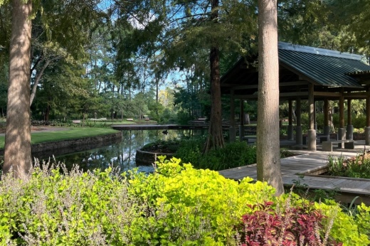 Mercer Botanic Gardens spans 180 acres and features approximately 60 cultivated acres containing more than 10,000 plants. (Courtesy Friends of Mercer Botanic Gardens)
