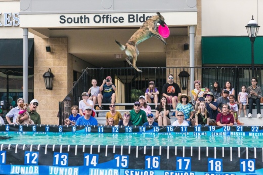 The family-friendly Paws Fest features dog vendors, pet adoptions, a costume contest and a dog jump competition. (Courtesy LaCenterra at Cinco Ranch)
