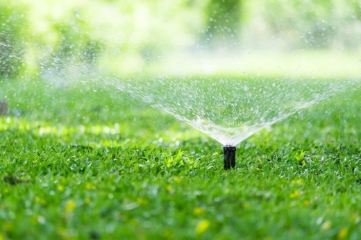 sprinkler in the grass