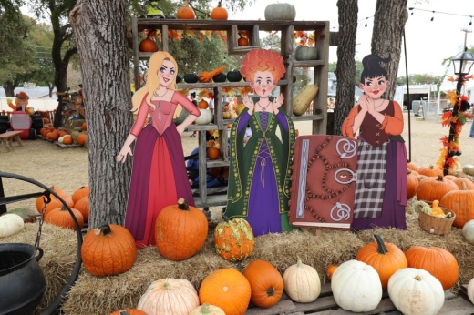 Image shows pumpkins