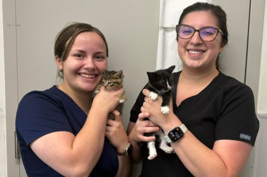 Fort Bend County Animal Services welcomes volunteers to assist with animal care for the more than 3,500 animals the shelter takes in each year. (Courtesy Fort Bend County Animal Services via Facebook)