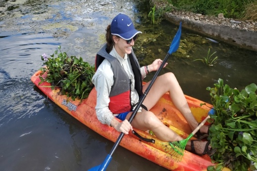 invasive species removal