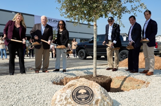 A group of adults plant a live oak tree.